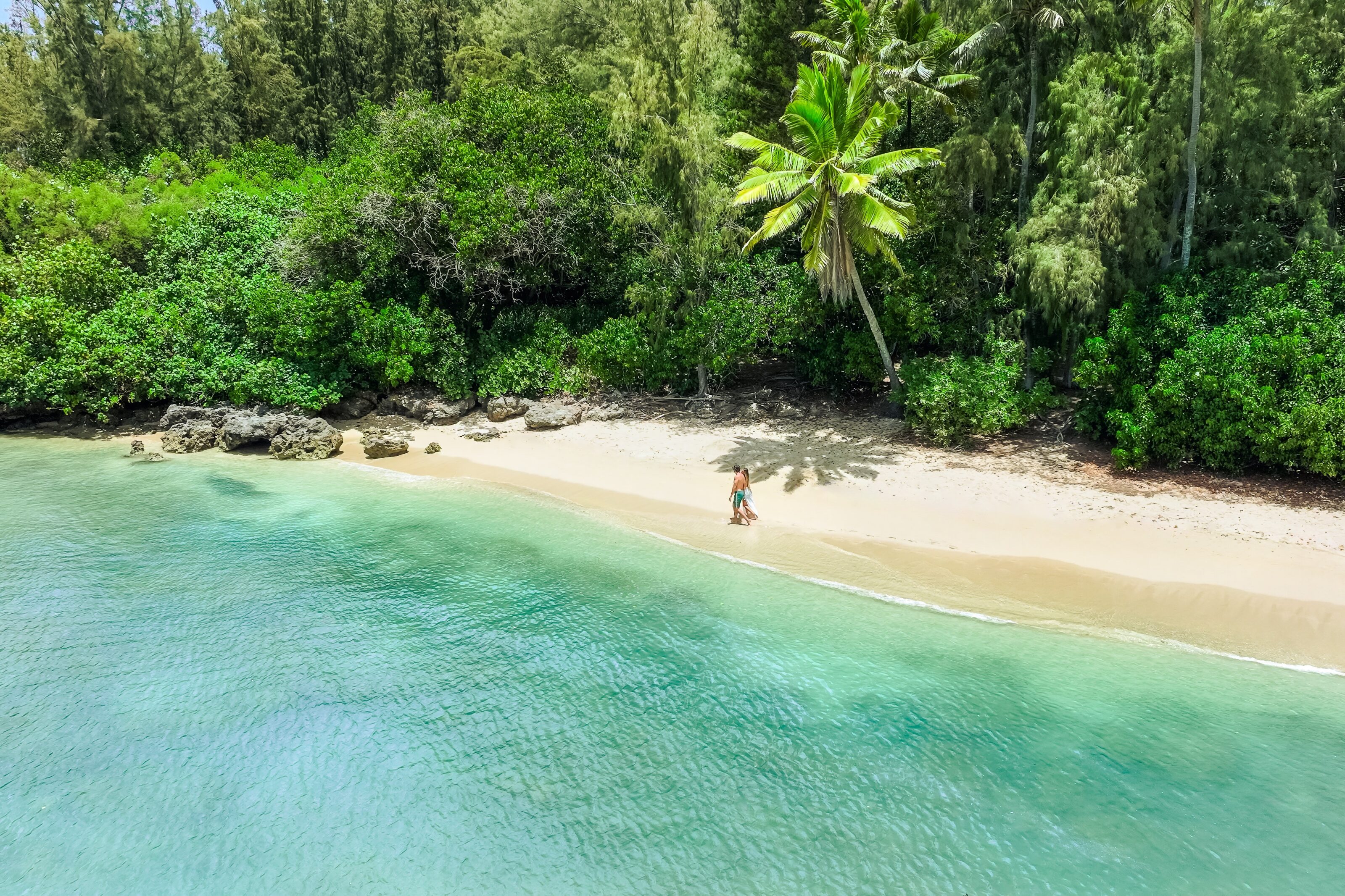 Checking In: The Ritz Carlton O'ahu, Turtle Bay Offered Relaxation And Unexpected Adventure