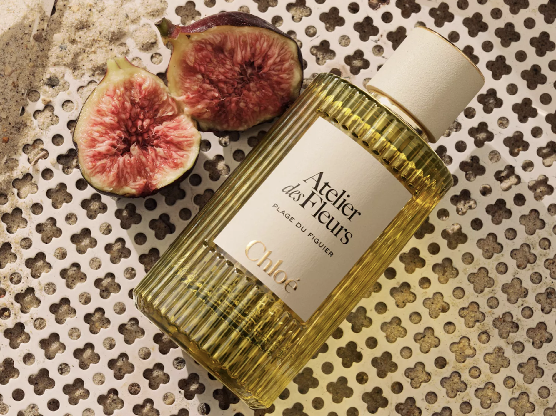 I Thought Fig Was a Summer Scent—Then I Tried These Perfumes